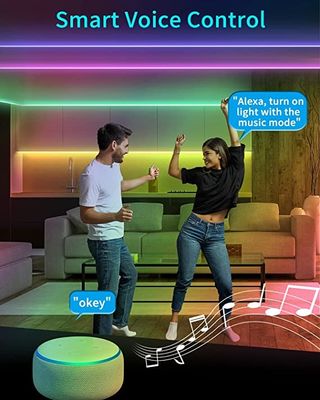 Smart 10M LED Strip Lights Waterproof Flexible LED Strip 24V With Remote Color Changing